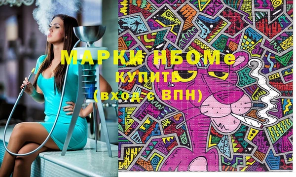 индика Нефтекумск